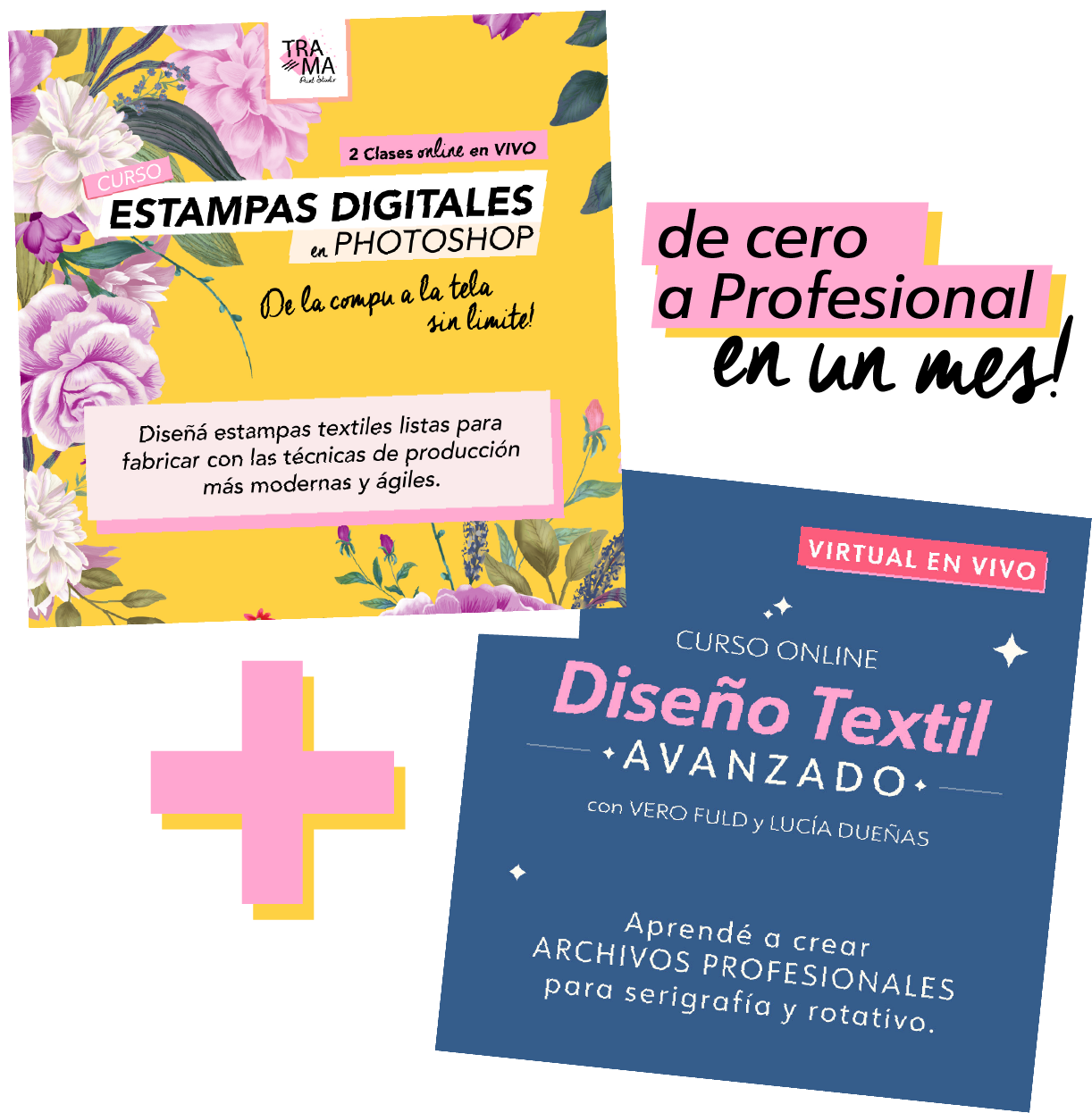 Imagen curso Trama Print Studio - Diseño de estampas en Illustrator